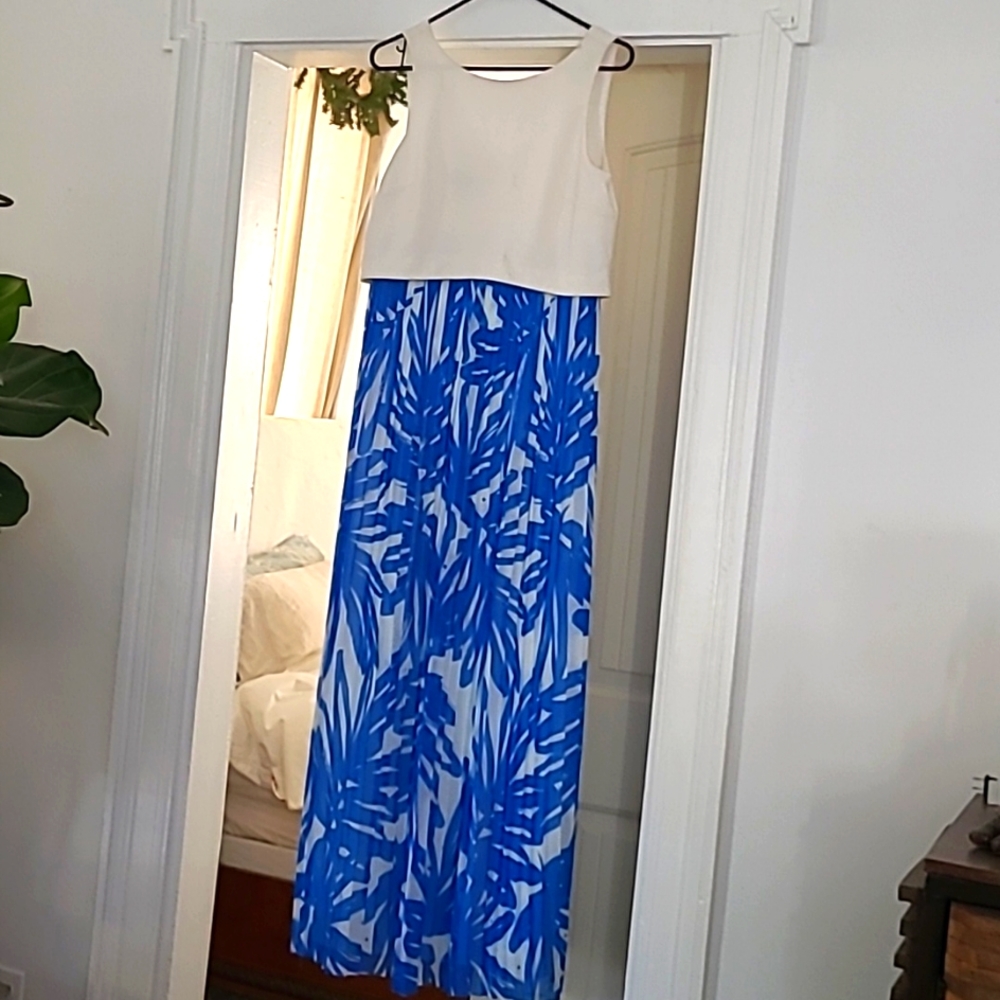 Donna Morgan Maxi dress.
